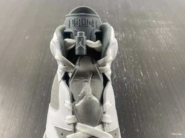 Reps TBK Jordan Grey Cool Air CT8529-100 6 0413